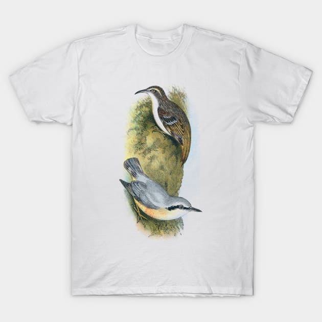 Tree Creeper and Nuthatch T-Shirt by NEILBAYLIS